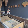 スプラウト