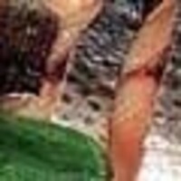 【自家製】鮮魚 西京味噌漬2種類(6切れ入) 予約制