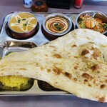 India・Nepal restaurant RAJA - 料理写真: