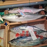 綿半 - 左上のサバと比べて～大きなカツオです。