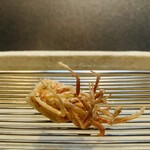 てんぷら てらおか - ⑥ 天草産天然巻海老鬼殻