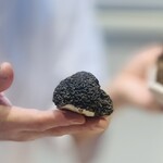 てんぷら てらおか - 食材の御披露目：3回目：新潟産栽培黒舞茸の幼菌