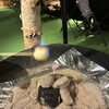 REWILD OUTDOOR TOKYO - 無限マシュマロ焼き