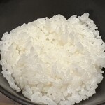 Sukihana Shinbashi ginzaguchi ten - Smaller Portion of Rice Version