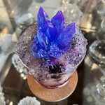 ウサギノネドコ 京都店 - 