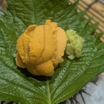 旬魚 たつみ 鳥取店 - 