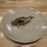 旬菜旬魚 たじま - 