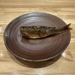 旬菜旬魚 たじま - 