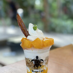 Blue Turtle Farm Mango Cafe - 