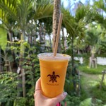 Blue Turtle Farm Mango Cafe - 
