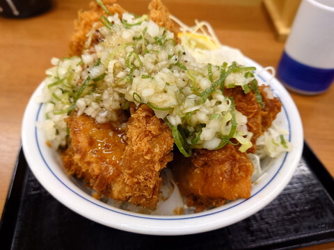 Katsuya Nagoya Kasadera Ten