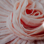 あぐー豚しゃぶしゃぶ専門店オーシャンBoo！ - その他写真: