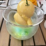 ブルータートル - 