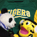 阪神甲子園球場 - グリーンユニフォーム使いました！