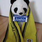 阪神甲子園球場 - タオル＆ワッペンいただきました