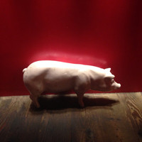 TOOTH TOOTH TOKYO - 