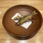 旬菜旬魚 たじま - 