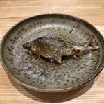 旬菜旬魚 たじま - 