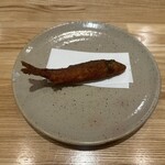 旬菜旬魚 たじま - 