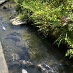 郡上炭火焼　うなぎの魚寅 - いがわ小径