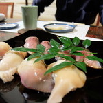 陸女鮨 - 金華鯖　北寄貝