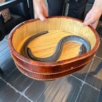 銀座 四代目 高橋屋 - 