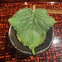 五本木 響 - 