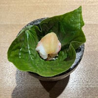 KHAO - 