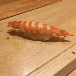 寿し おおはた - 巨大車海老❤️