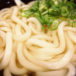 Tsurukyuu - かけうどん ズーム