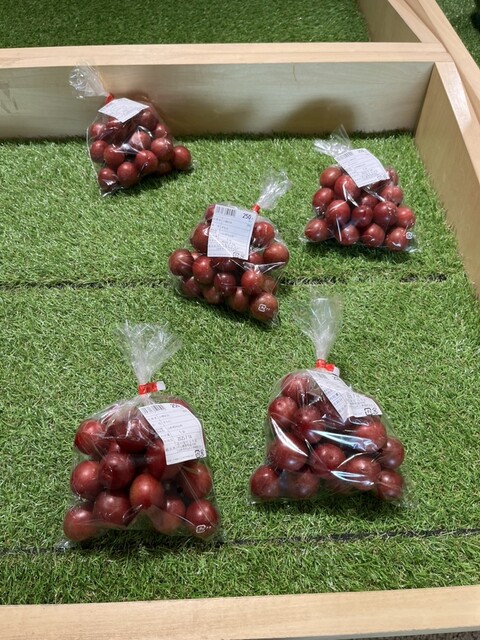 道の駅 むらやま - 村山（道の駅）の写真