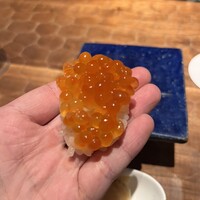 初音鮨 - 