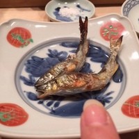 銀座 鮨 かねさか 本店 - 子持鮎