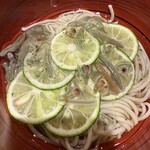 四季彩ダイニング　春 - 