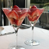 THE COSMOPOLITAN GRILL BAR TERRACE - 