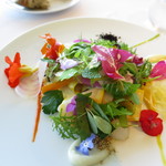 ミシェル・ブラス トーヤ ジャポン - 現在では"クラシック"、若野菜で仕上げたガルグイユー； 発芽豆&ハーブ、サンショウオイルのレ ドプール (2014/09)