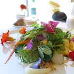 ミシェル・ブラス トーヤ ジャポン - 現在では"クラシック"、若野菜で仕上げたガルグイユー； 発芽豆&ハーブ、サンショウオイルのレ ドプール (2014/09)