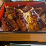 熊本上乃裏 うな雅 - 