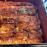 川越 いちのや - 特製うな重(菊)(4,300円)