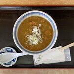 ねぎどん - 2025.07.17 (木)  カレーそば　710円（税込）