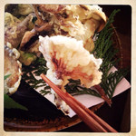 自然屋 - キツネタケ