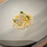 isolata -  isolata -