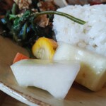 ファームスタンド - 