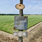 シャンディ ニヴァース カフェ - 