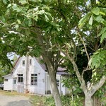 シャンディ ニヴァース カフェ - 