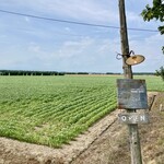 シャンディ ニヴァース カフェ - 