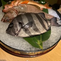 泉岳寺門前 紋屋 - 
