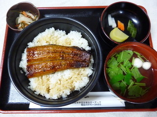 うなぎの又一 - うな丼（並）　1780円+税
