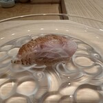 ぎをん鮨尚充 - 