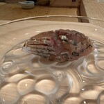 ぎをん鮨尚充 - 